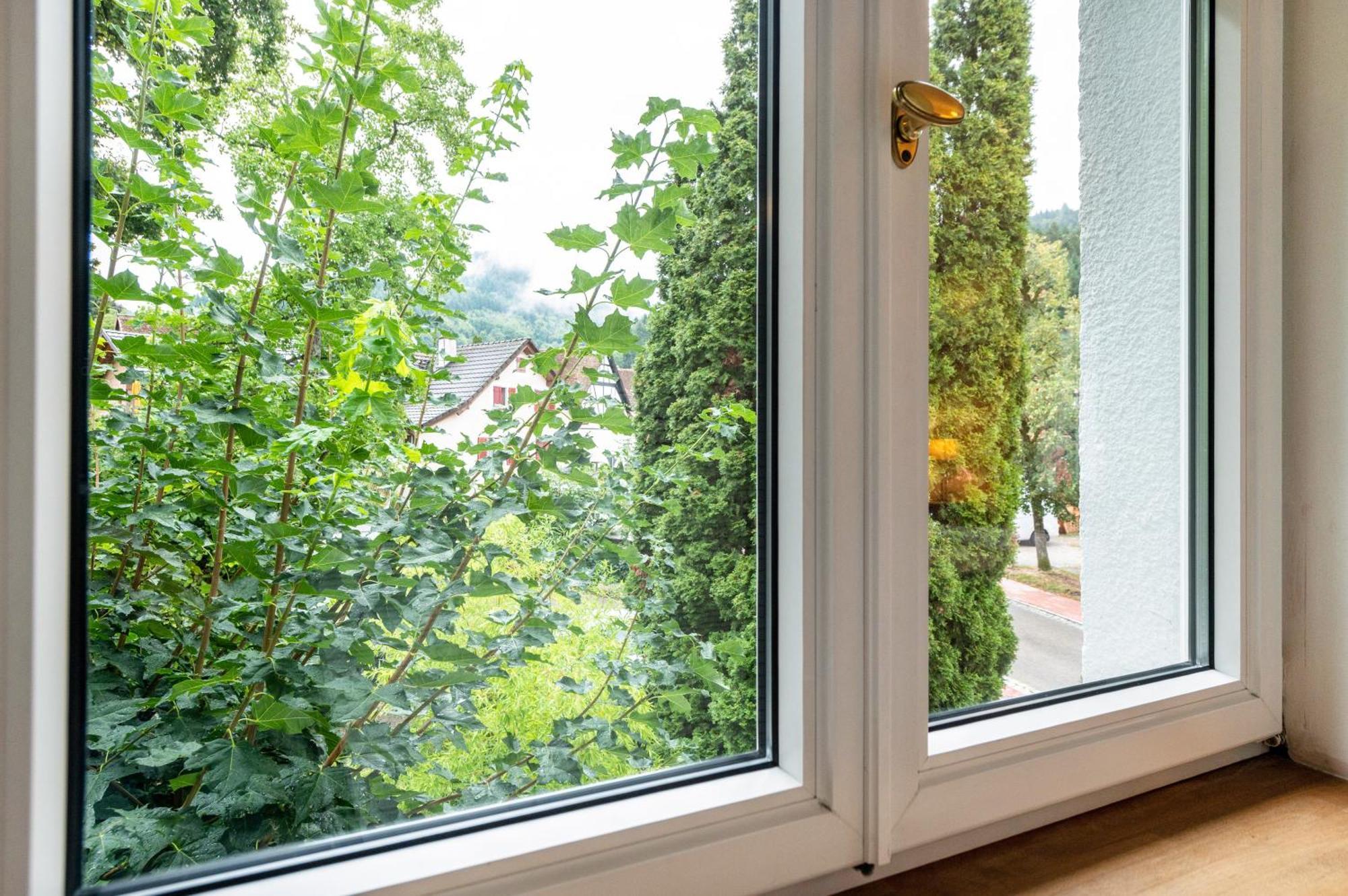 Appartement Waldhorn Badenweiler Esterno foto