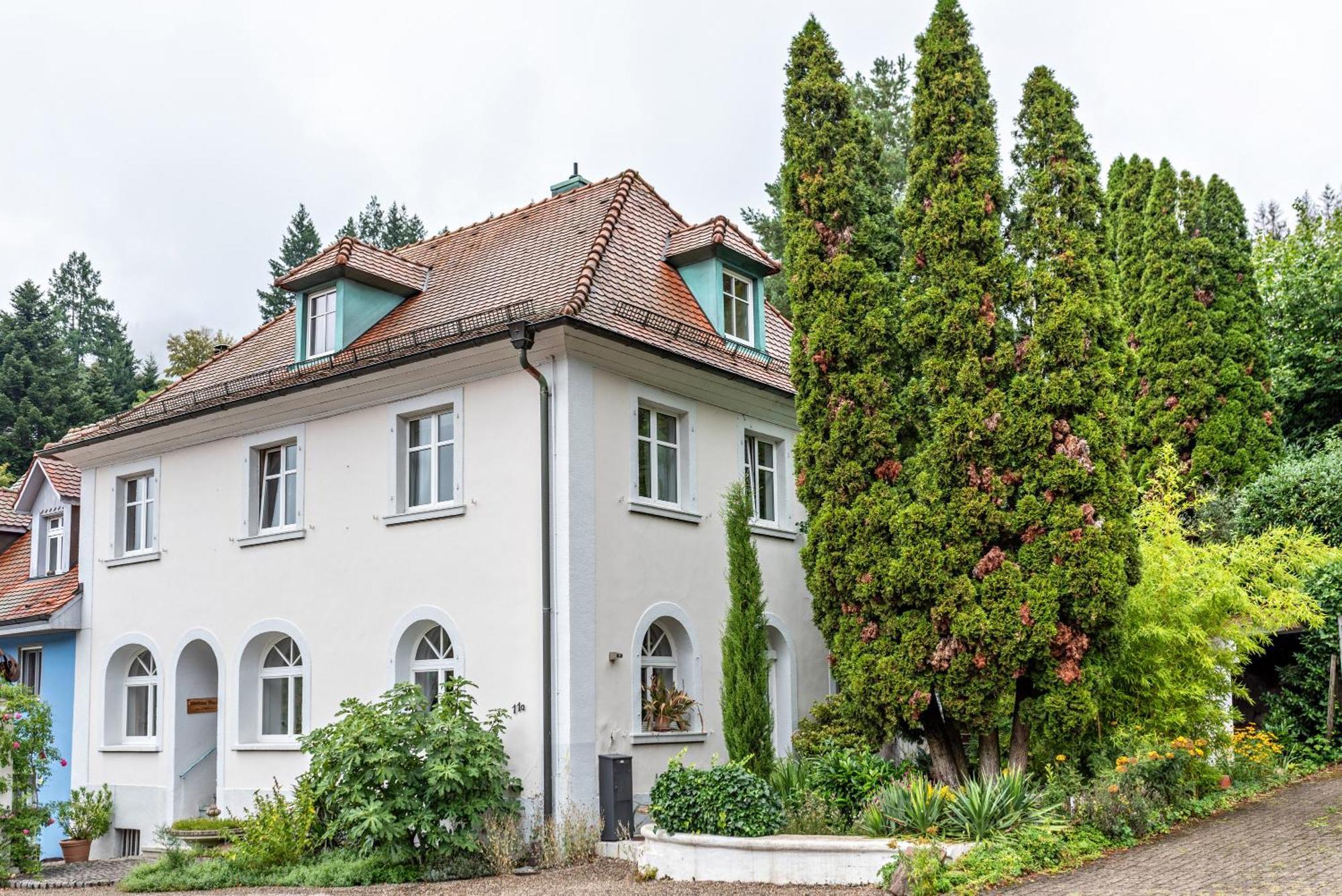 Appartement Waldhorn Badenweiler Esterno foto